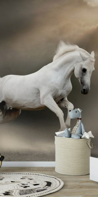 Állatos poszter TPALL024